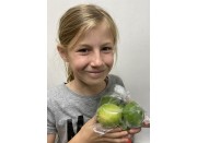 LIMES 500 grams KATIKATI Grown
